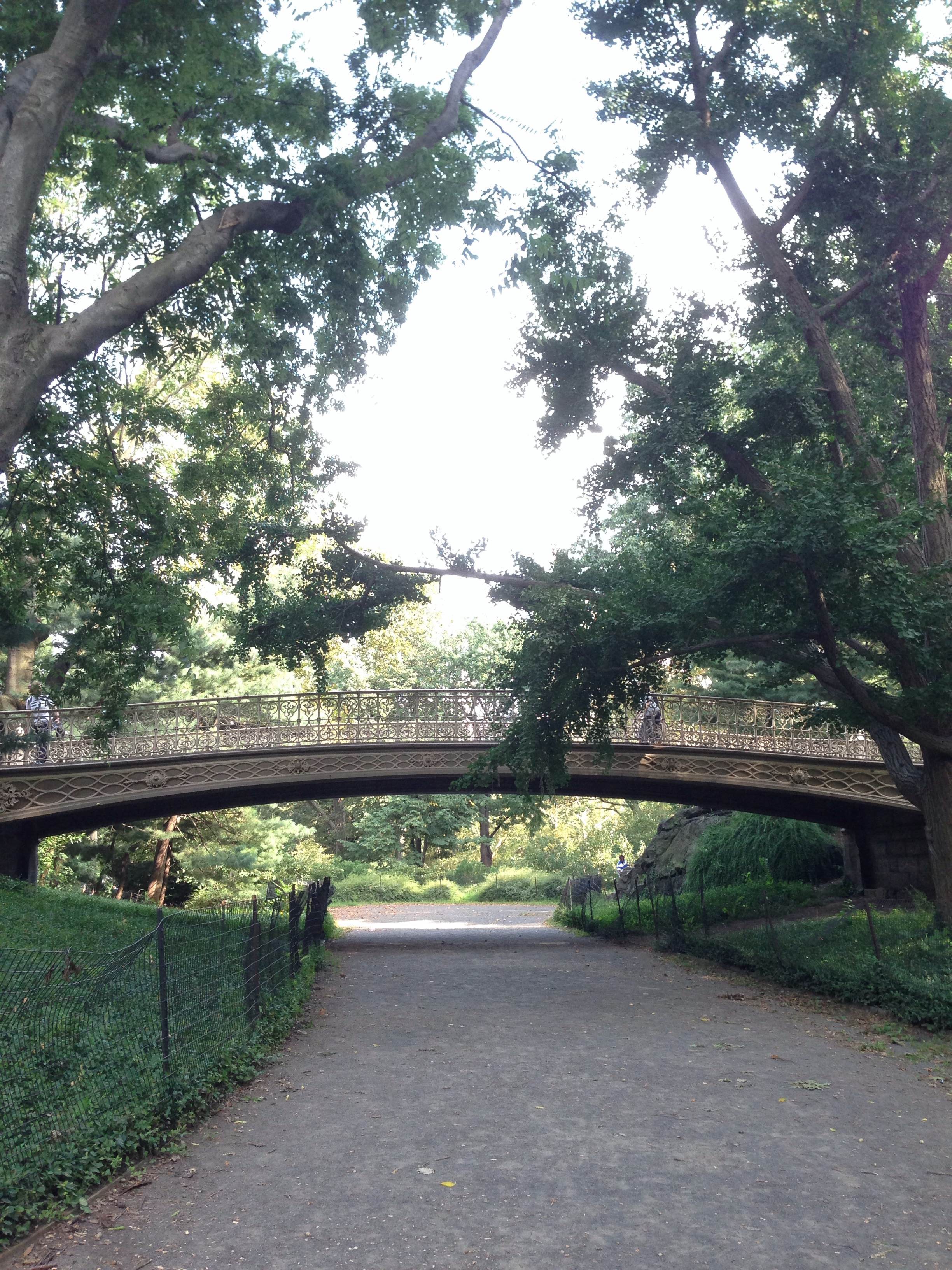Central Park: the best way to leave the city without leaving the city.